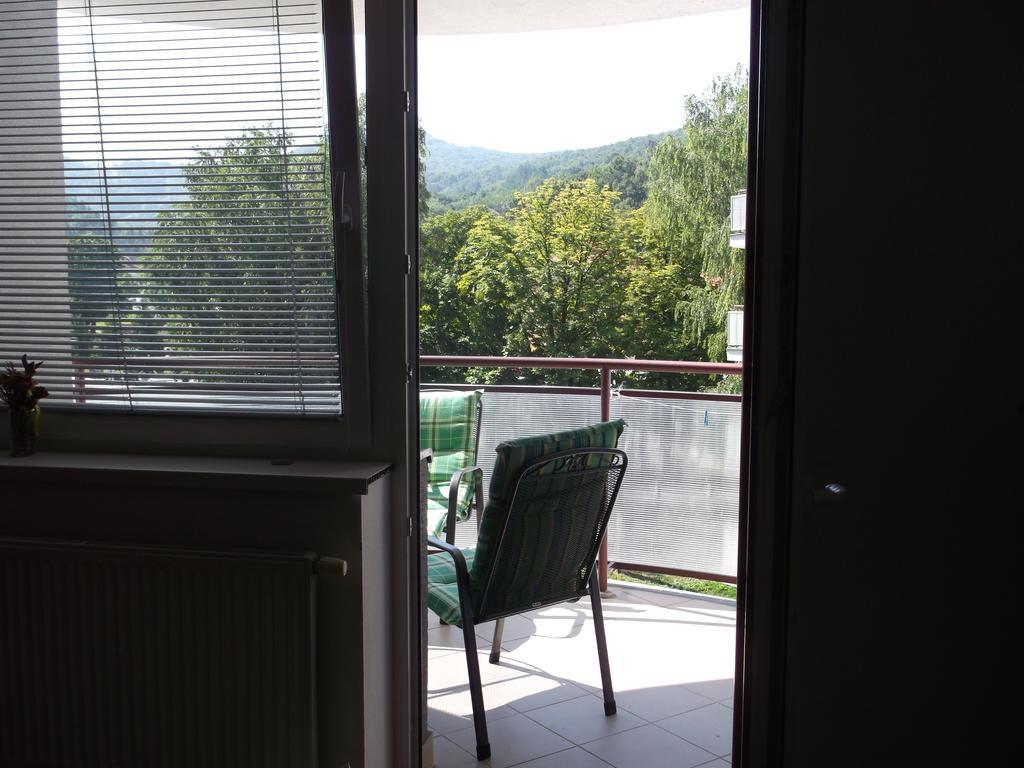 Pikk Trencianske Teplice Apartment Cameră foto